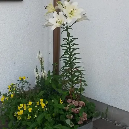 Ruhe Geniessen Bei Kulbes * Doberschutz