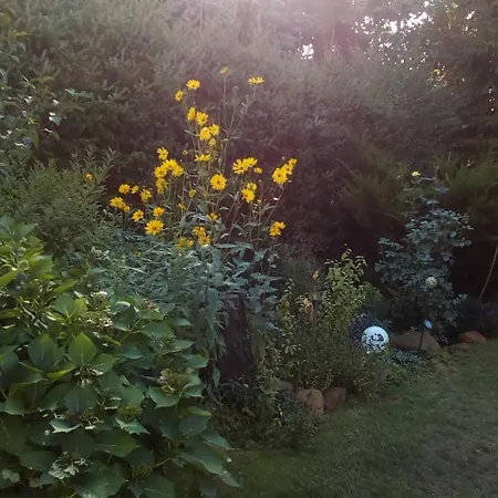 Ruhe Geniessen Bei Kulbes * Doberschutz