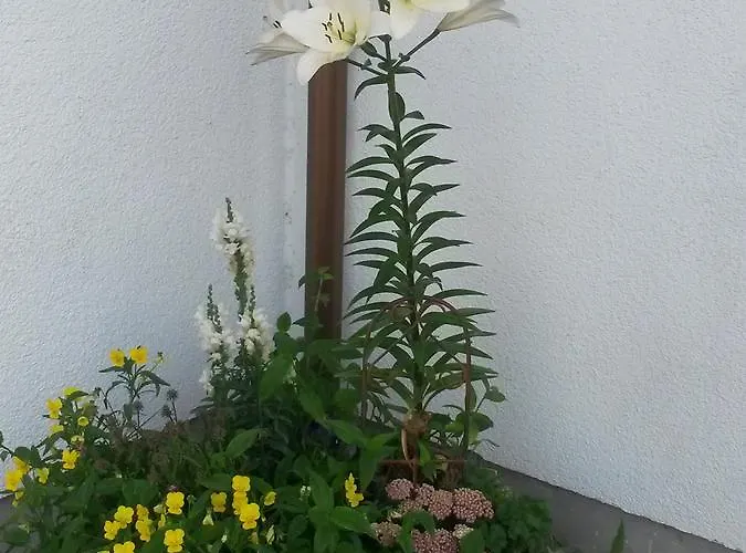 Ruhe Geniessen Bei Kulbes * Doberschutz