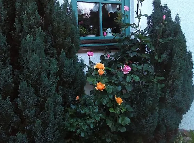 Ruhe Geniessen Bei Kulbes Daire Doberschutz