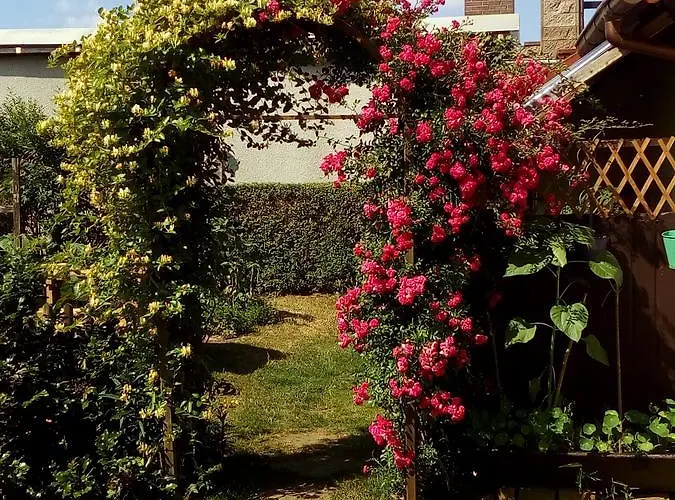 Ruhe Geniessen Bei Kulbes Daire