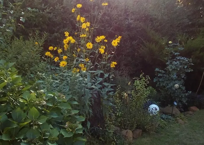 Ruhe Geniessen Bei Kulbes * Doberschutz