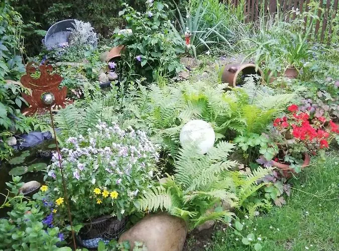 Ruhe Geniessen Bei Kulbes Doberschutz